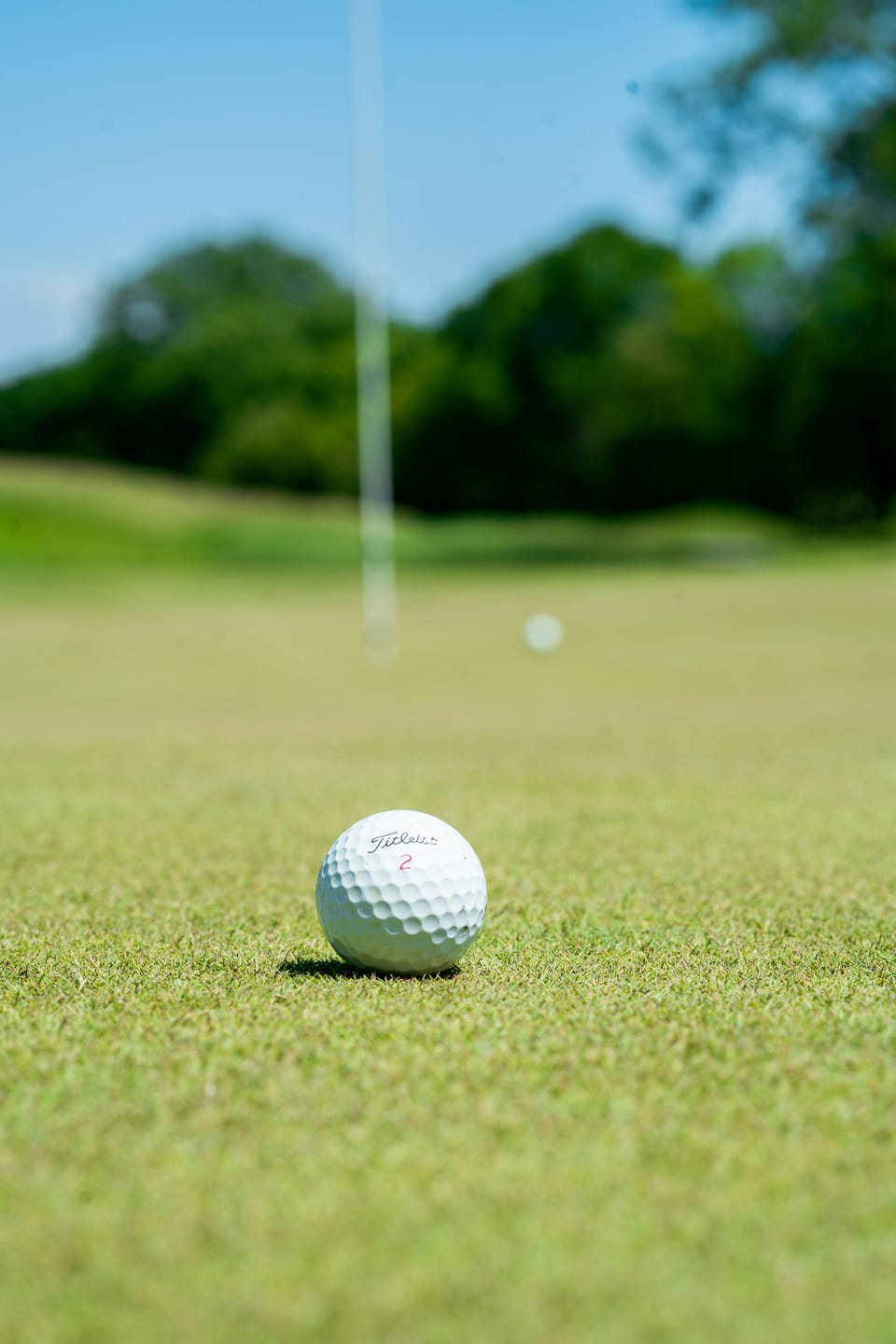 Golf ball on a putting green near the flag stick at a PGA Tour course